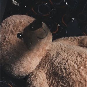 Meet your Posher, Terran